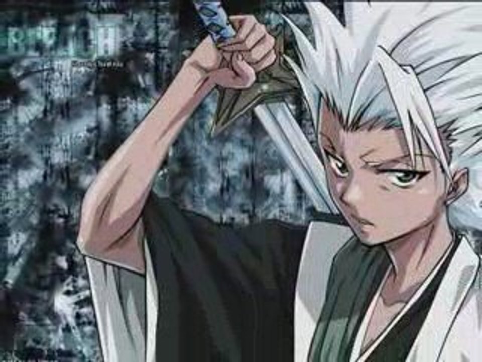 Amv Bleach Gotei 13