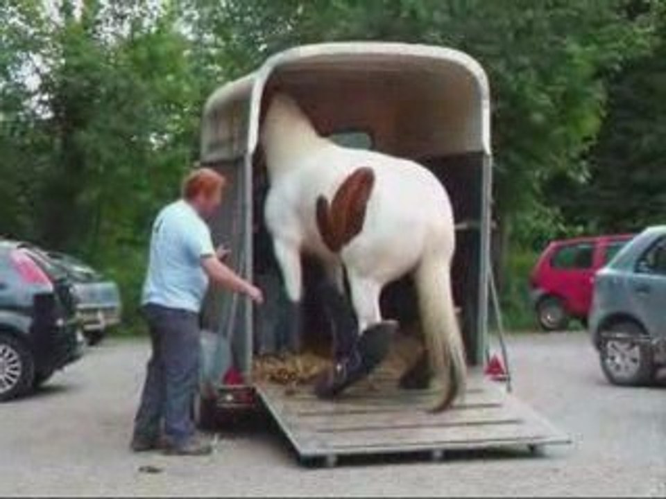 Arrivée de Spirit à Champs Bois