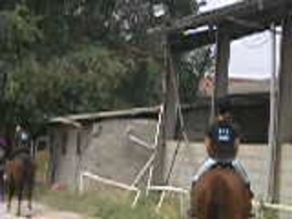 Trot sur Léo