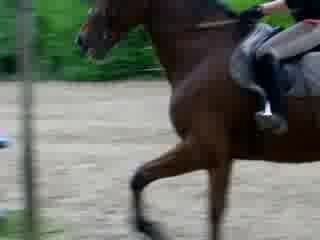 Moi et Caroussel à l'obstacle