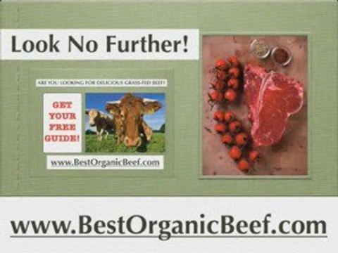 [BestOrganicBeef.com] grass fed organic beef, grass fed beef
