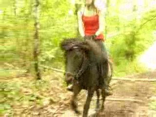 Chipsi & Amélie saut dans la forêt