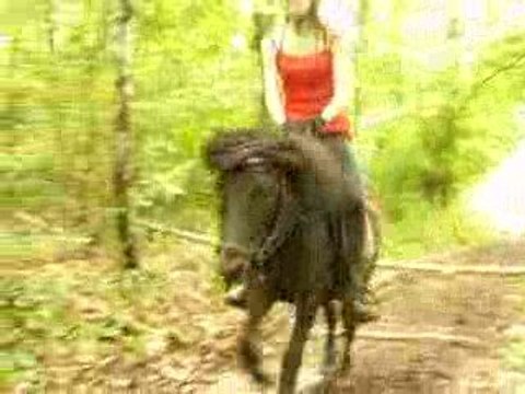 Chipsi & Amélie saut dans la forêt