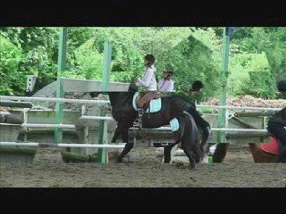 Aurelia et pharaon