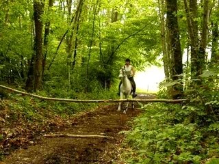 Naïma & moi saut en forêt