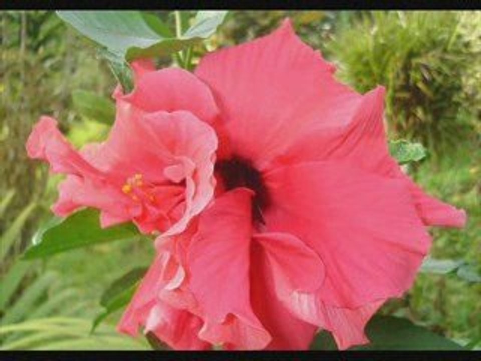 AVEC OU SANS TOI - "http://ninatlantika.skyrock.com"