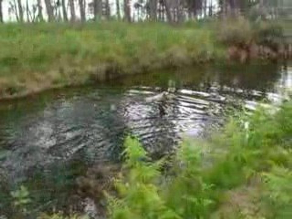 2009_0523ballade0010