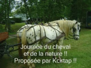 Journée du cheval et de la nature !!