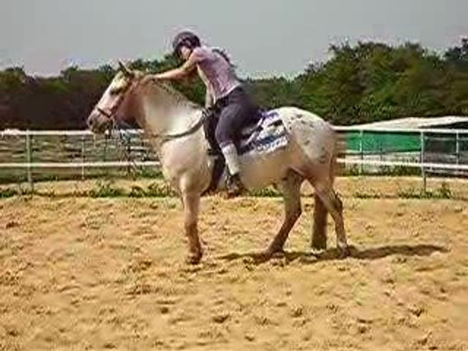 Sioux et son "sac à patates" !