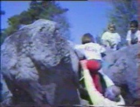 Foret de Fontainebleau avec Casel enfants