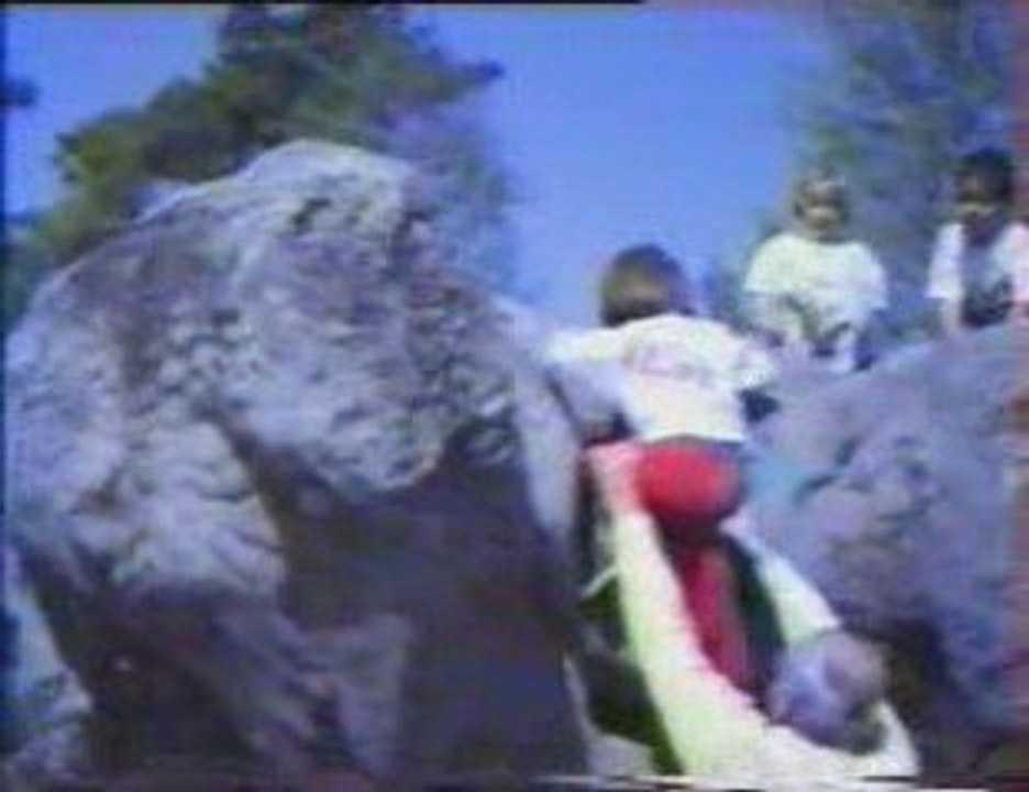 Foret de Fontainebleau avec Casel enfants