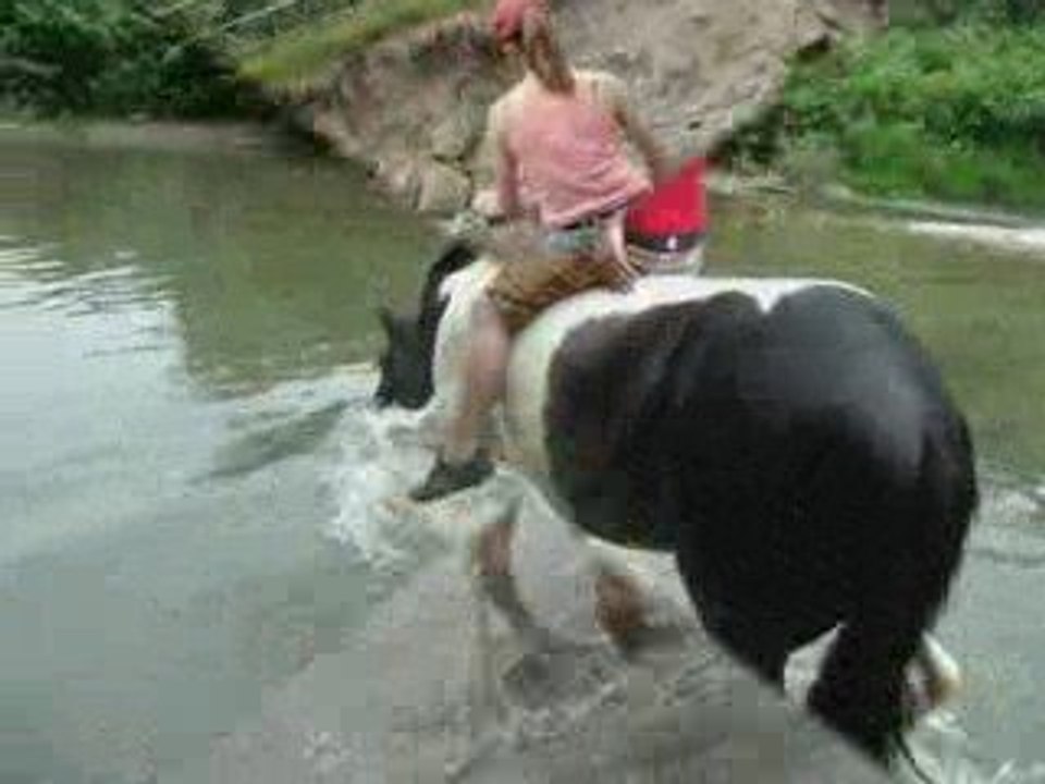 Baignade à la menoge