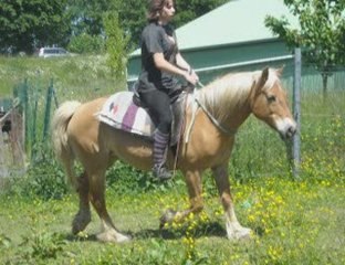 visite de amelie chez moi  mity