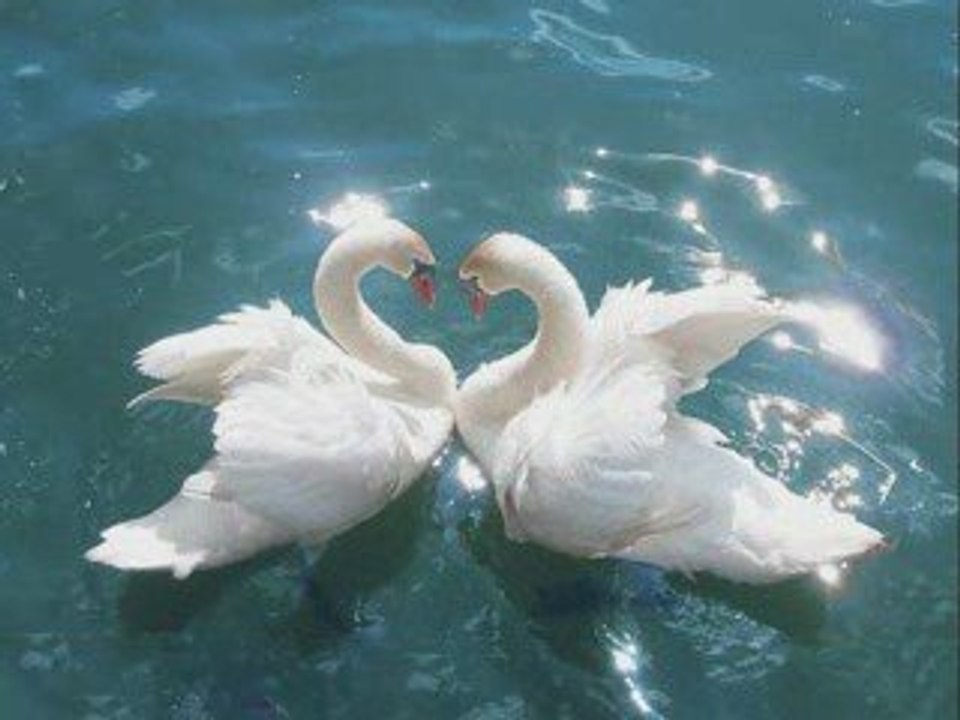 Le Nouveau Monde William Sheller