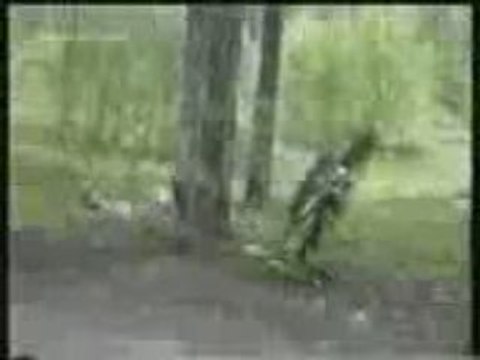 regis en moto cross (kx)