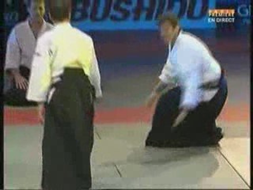 Aïkido Tissier Bercy 2009