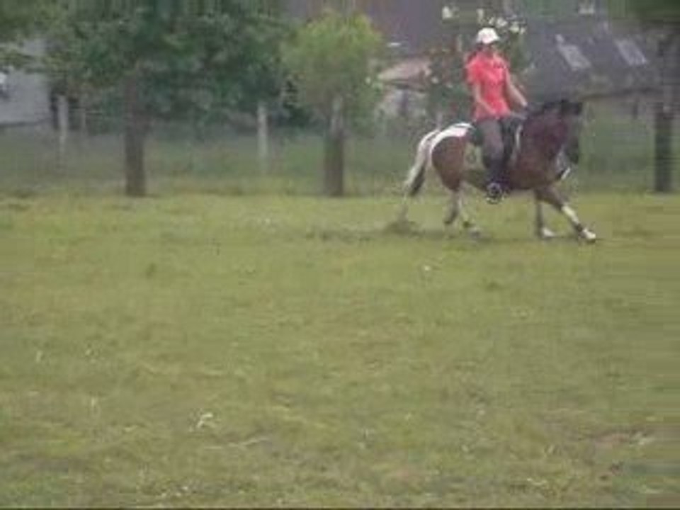23-05-09 PART 2
