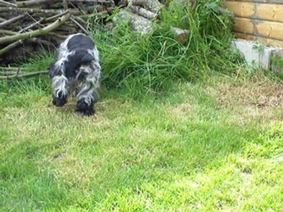 arwen joue au foot