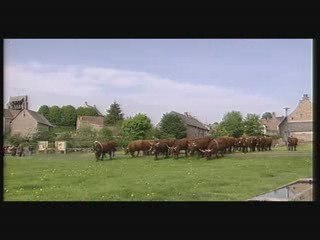 Alain AMEILHAUD "sa transhumance"