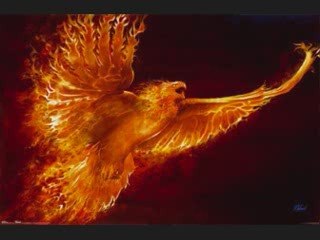 Histoire des Dragons  =)