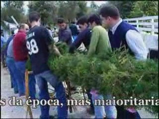 Arco das Almas- Tradições Bairradinas
