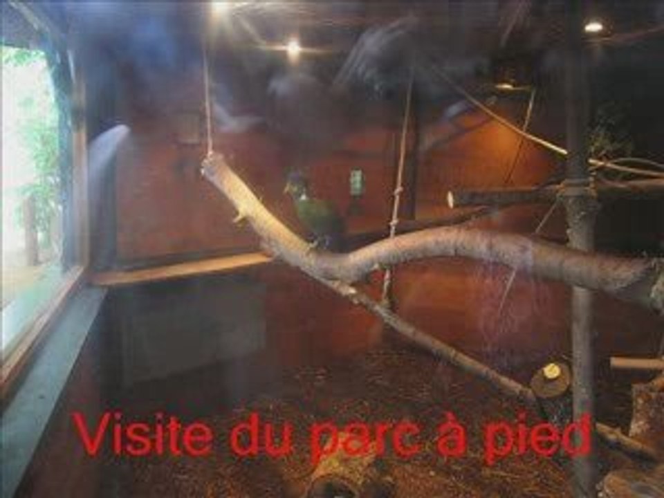 Visite au zoo