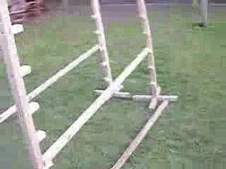 mon chien ugo qui saute