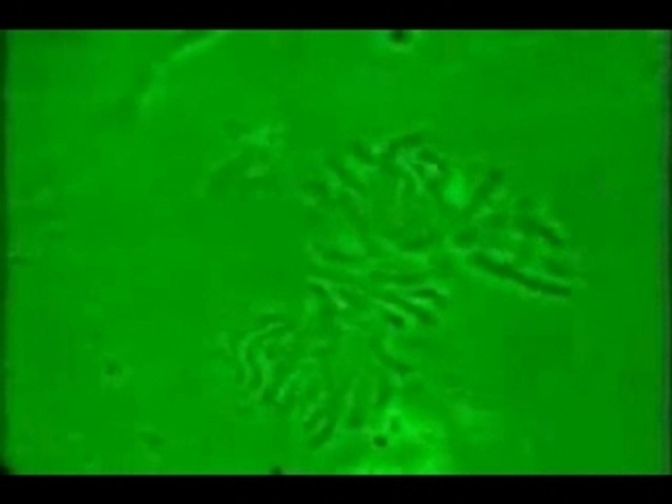 Les Maîtres du monde - L'économie