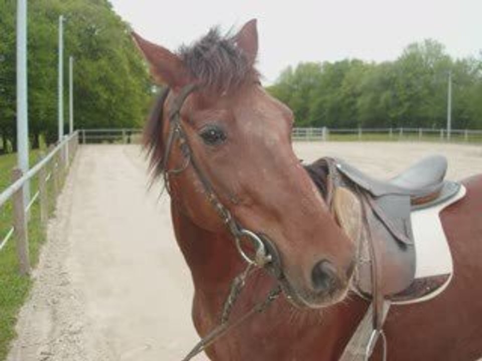 Vacance avec Gamin