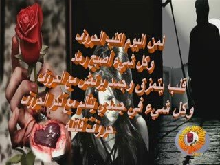 تبكي الطيور وائل كفوري