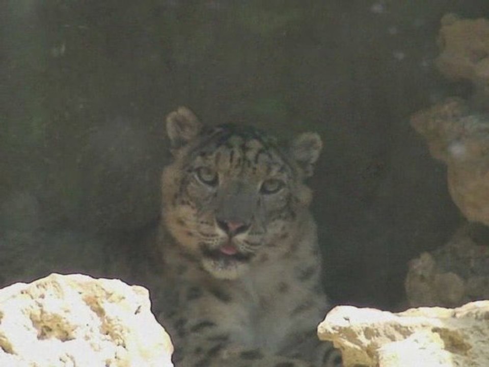 Lithuanian zoo