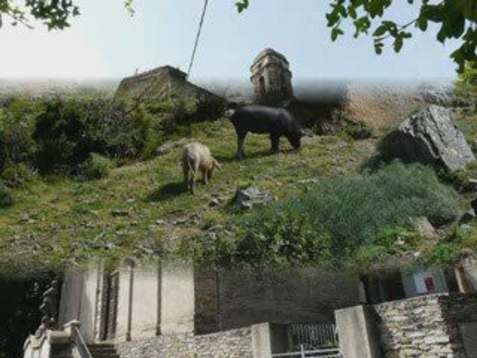 Corse - Corte n°2
