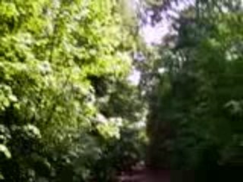 Pistes de Galop de la Forêt d'Hallate (à cheval)