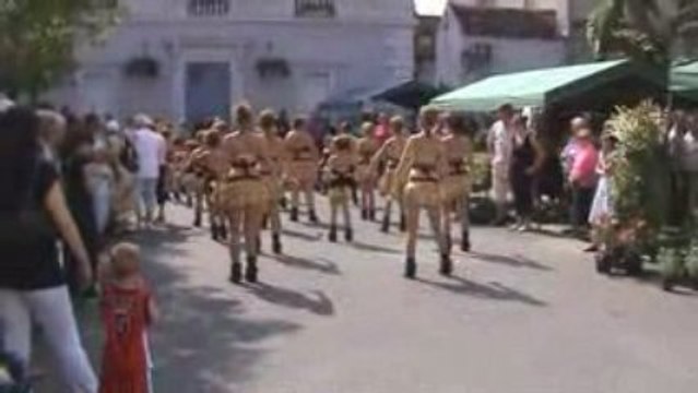 FÊTE DES FLEURS A ROZAY EN BRIE 24 MAI 2009