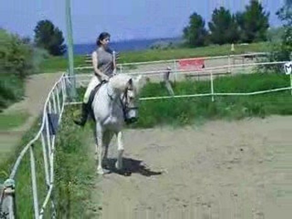 estrella