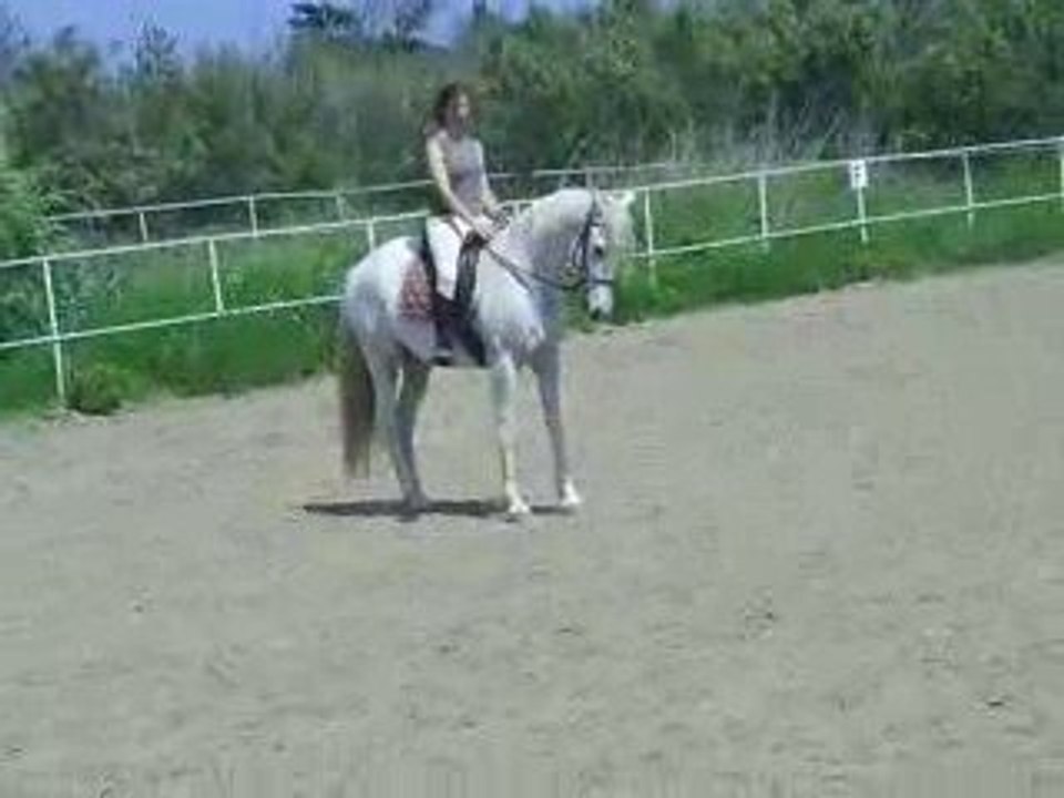 estrella