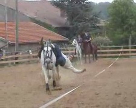 voltige en ligne entrainement (2)