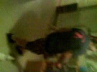 Romain danse le madison