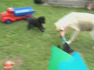 Kaly - Portée A - 23.05.2009_1