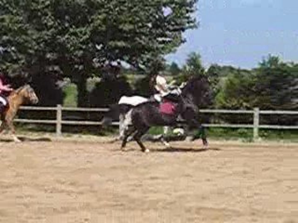 chute de julia sur mystere etrier chiroquois