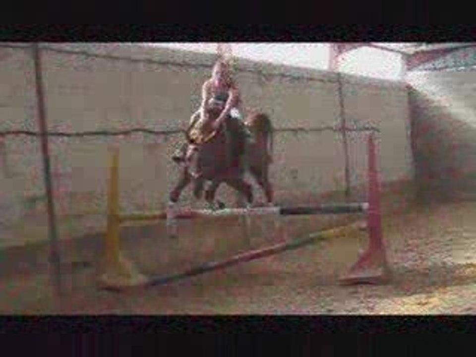 X3 Puissance Doudouce et Chrystalle X3