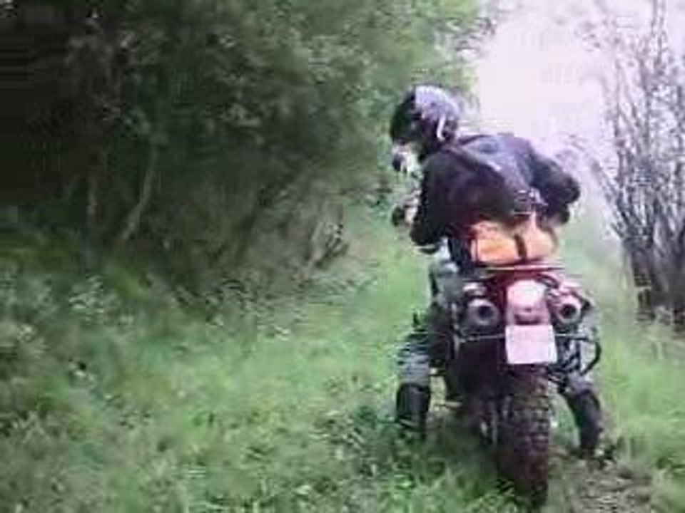 terrain Gras