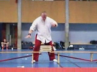 portes ouvertes de l'academie Européenne Michel GASS