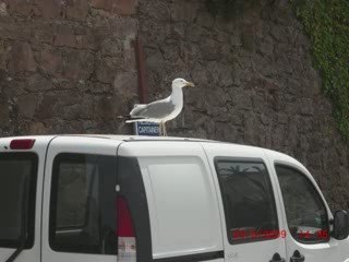 Wandern in den Bergen von Theoule