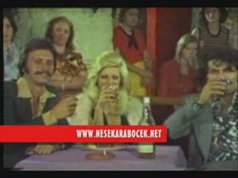 Neşe Karaböcek ( Gönül )