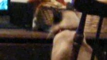 Tomas 655