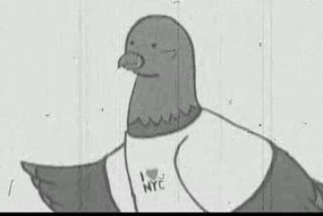 BERT THE RUNNER DUCK in More Silent than a Silent Movie