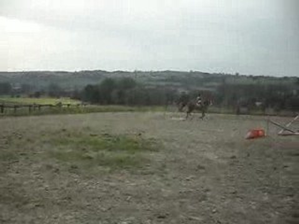 SDC10171