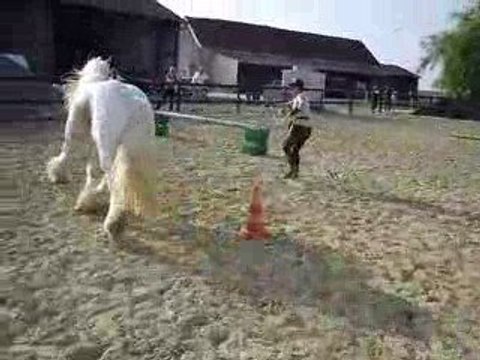 Flann éthologie mise cercle et saut