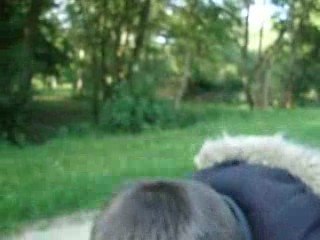 Pesée belle carpe Commune